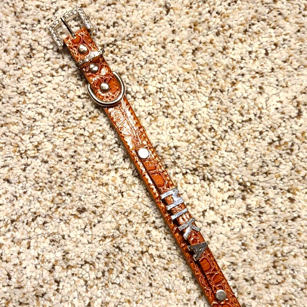 🤩NWOT Leather dog collar - BOGO eligible